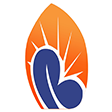 Berhan Insurance